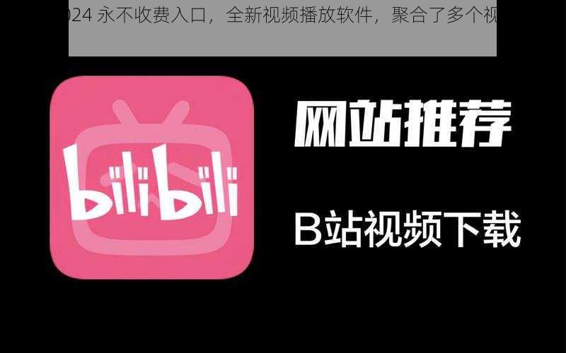 b 站 2024 永不收费入口，全新视频播放软件，聚合了多个视频平台的资源