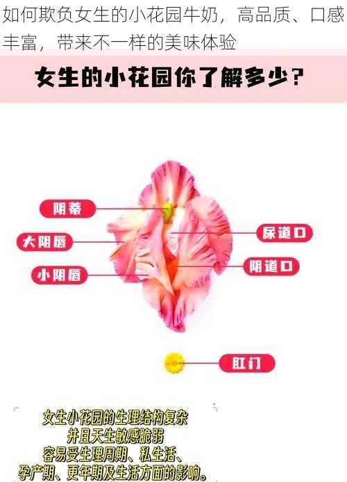 如何欺负女生的小花园牛奶，高品质、口感丰富，带来不一样的美味体验