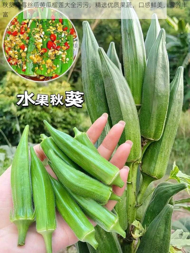 秋葵草莓丝瓜黄瓜榴莲大全污污，精选优质果蔬，口感鲜美，营养丰富