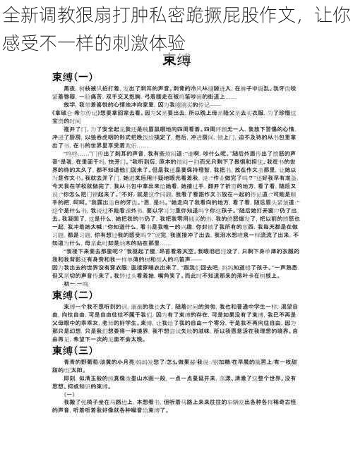 全新调教狠扇打肿私密跪撅屁股作文，让你感受不一样的刺激体验