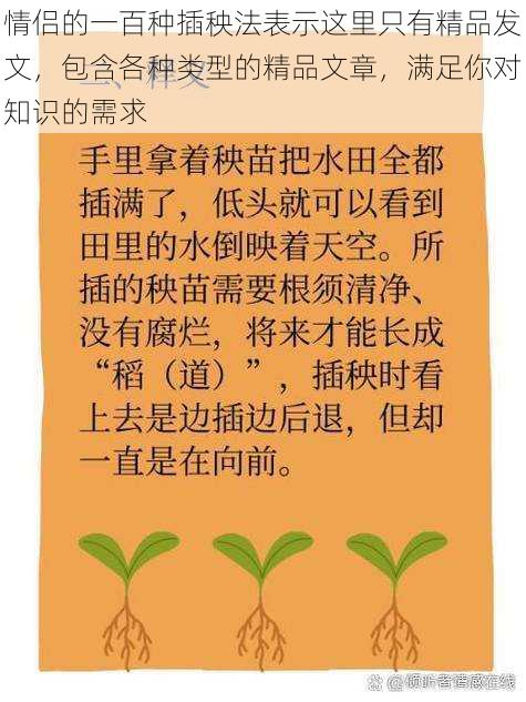 情侣的一百种插秧法表示这里只有精品发文，包含各种类型的精品文章，满足你对知识的需求