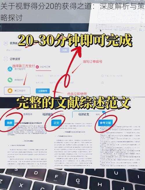 关于视野得分20的获得之道：深度解析与策略探讨