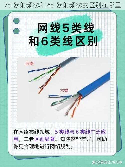 75 欧射频线和 65 欧射频线的区别在哪里