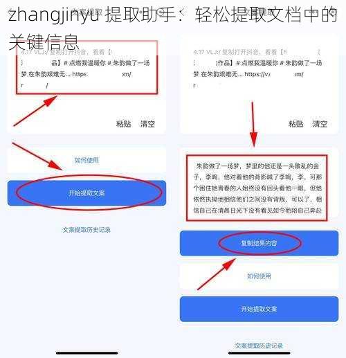 zhangjinyu 提取助手：轻松提取文档中的关键信息