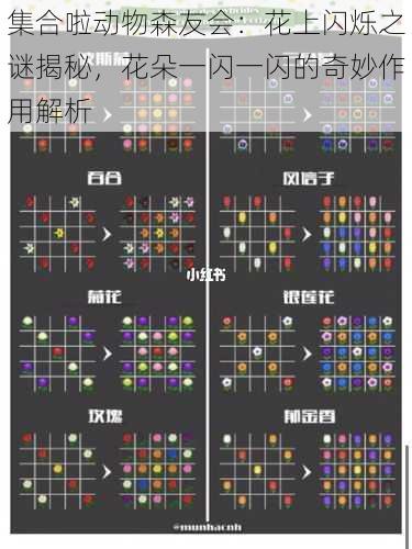 集合啦动物森友会：花上闪烁之谜揭秘，花朵一闪一闪的奇妙作用解析