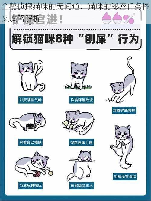 企鹅侦探猫咪的无间道：猫咪的秘密任务图文攻略解析