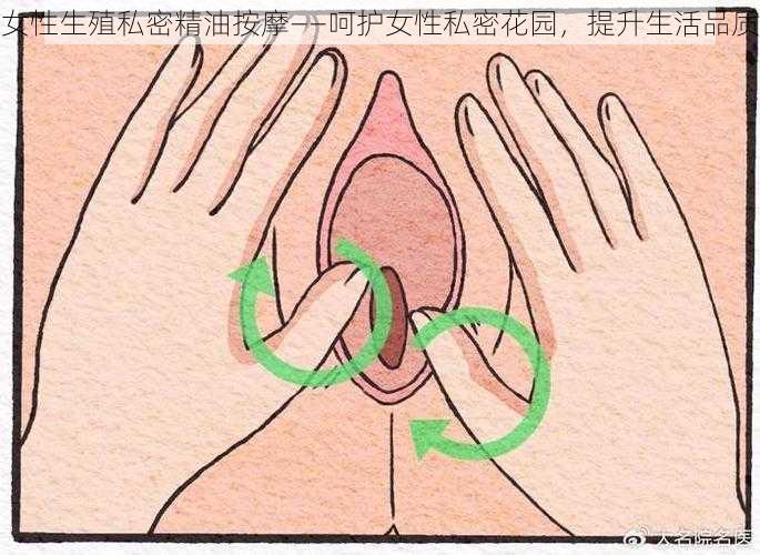 女性生殖私密精油按摩——呵护女性私密花园，提升生活品质