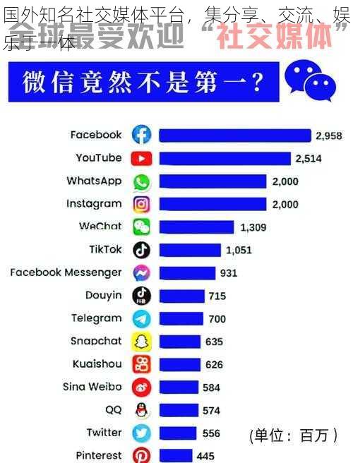 国外知名社交媒体平台，集分享、交流、娱乐于一体