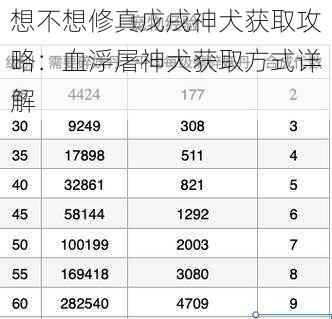 想不想修真戊戌神犬获取攻略：血浮屠神犬获取方式详解