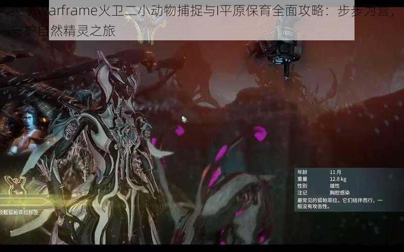 关于Warframe火卫二小动物捕捉与I平原保育全面攻略：步步为营，守护自然精灵之旅