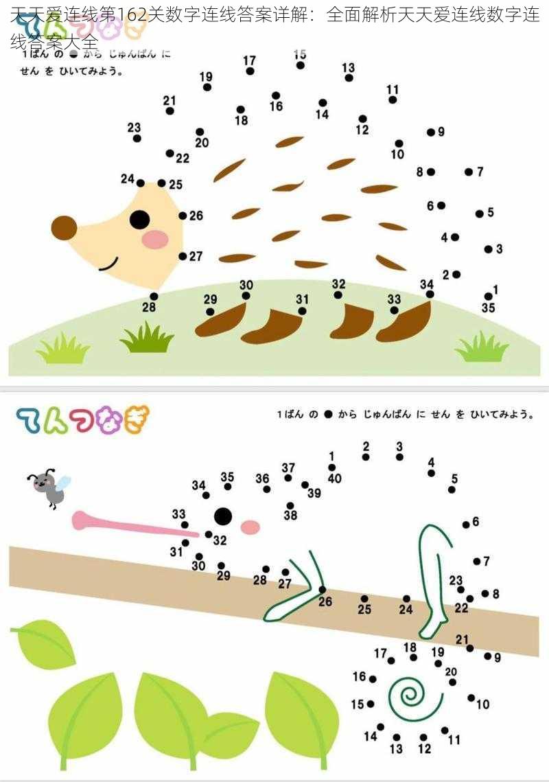 天天爱连线第162关数字连线答案详解：全面解析天天爱连线数字连线答案大全