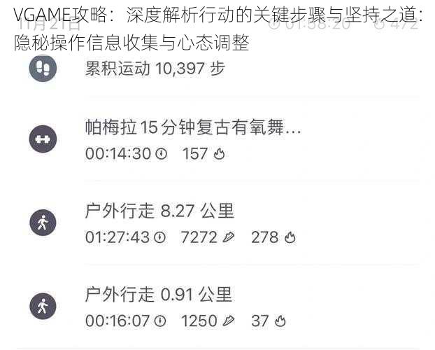 VGAME攻略：深度解析行动的关键步骤与坚持之道：隐秘操作信息收集与心态调整