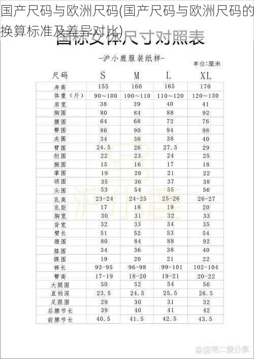 国产尺码与欧洲尺码(国产尺码与欧洲尺码的换算标准及差异对比)