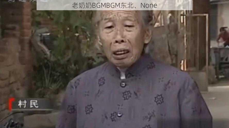 老奶奶BGMBGM东北、None