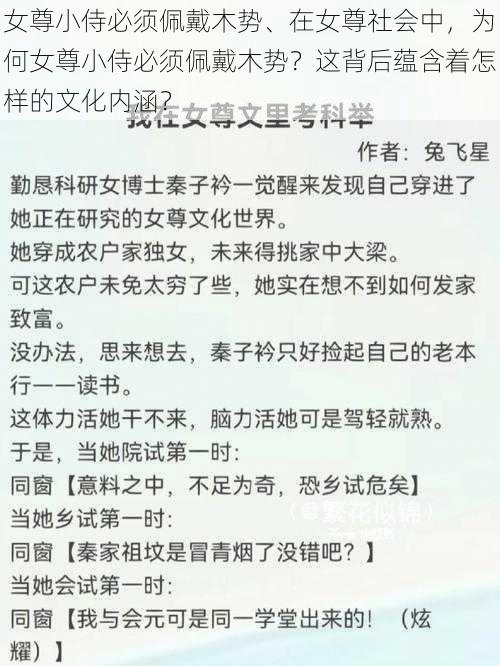 女尊小侍必须佩戴木势、在女尊社会中，为何女尊小侍必须佩戴木势？这背后蕴含着怎样的文化内涵？