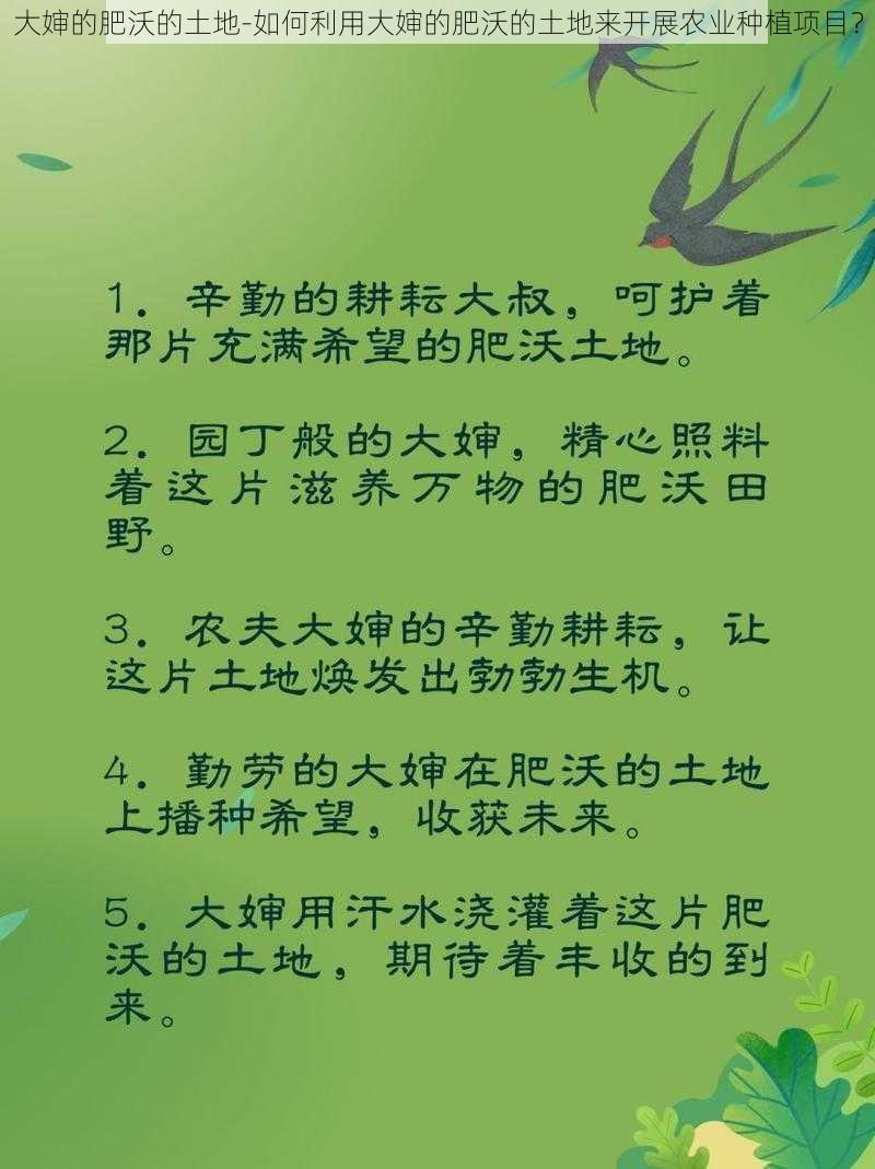 大婶的肥沃的土地-如何利用大婶的肥沃的土地来开展农业种植项目？