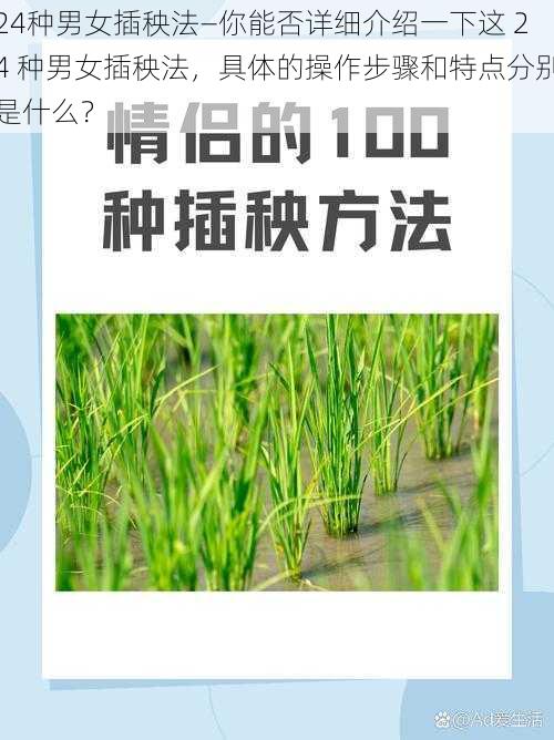 24种男女插秧法—你能否详细介绍一下这 24 种男女插秧法，具体的操作步骤和特点分别是什么？