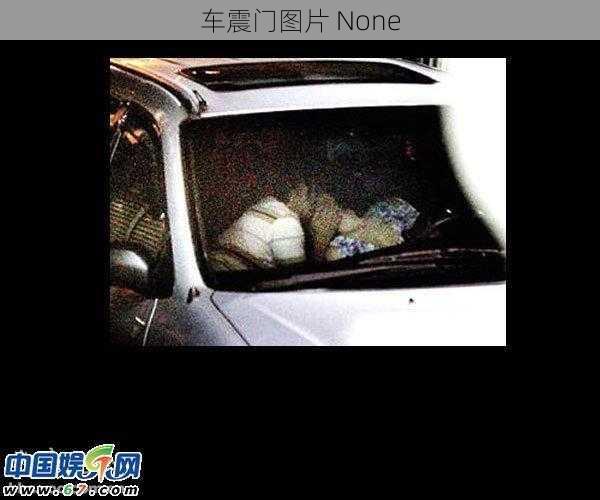 车震门图片 None