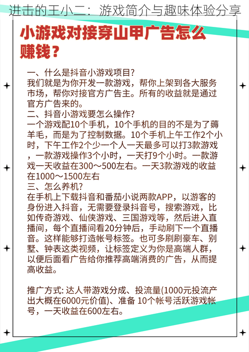 进击的王小二：游戏简介与趣味体验分享