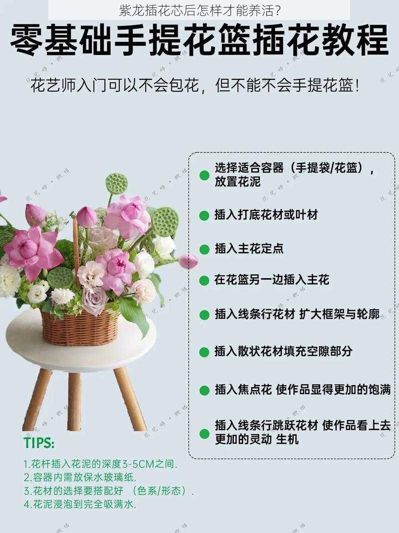 紫龙插花芯后怎样才能养活？