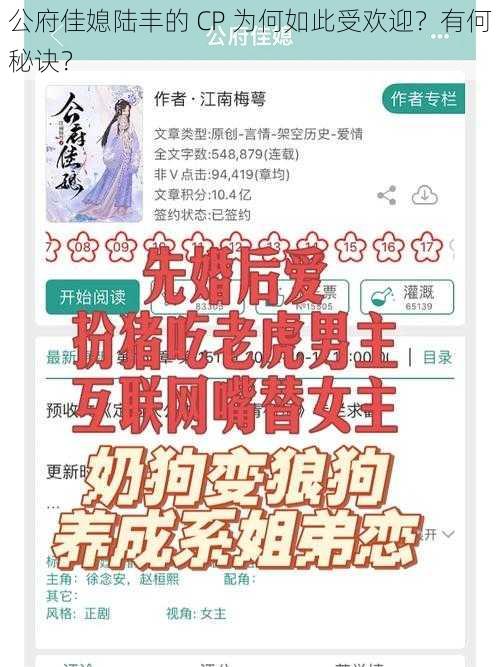 公府佳媳陆丰的 CP 为何如此受欢迎？有何秘诀？