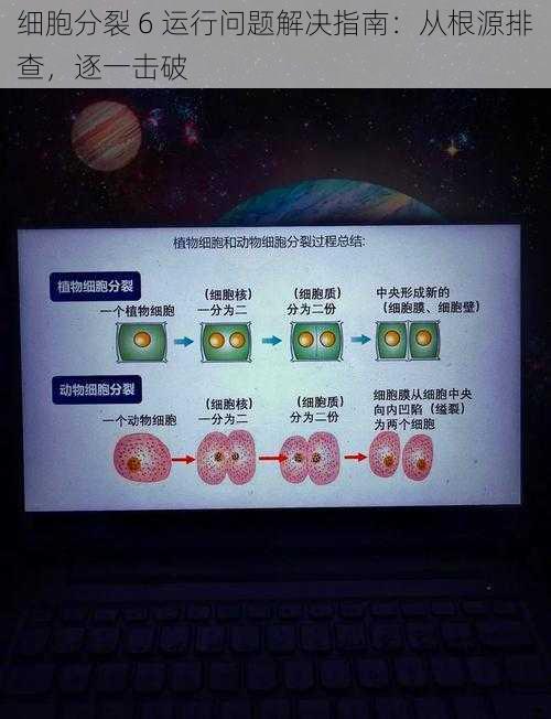 细胞分裂 6 运行问题解决指南：从根源排查，逐一击破