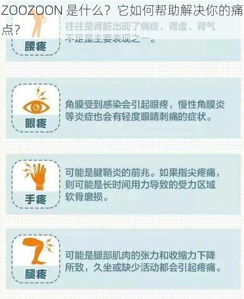 ZOOZOON 是什么？它如何帮助解决你的痛点？