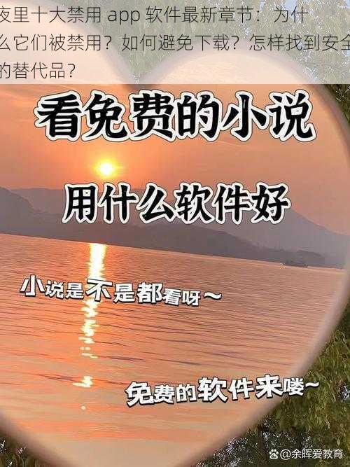 夜里十大禁用 app 软件最新章节：为什么它们被禁用？如何避免下载？怎样找到安全的替代品？