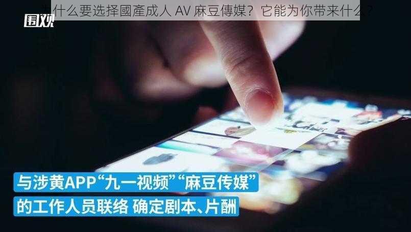 为什么要选择國產成人 AV 麻豆傳媒？它能为你带来什么？