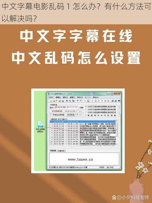 中文字幕电影乱码 1 怎么办？有什么方法可以解决吗？