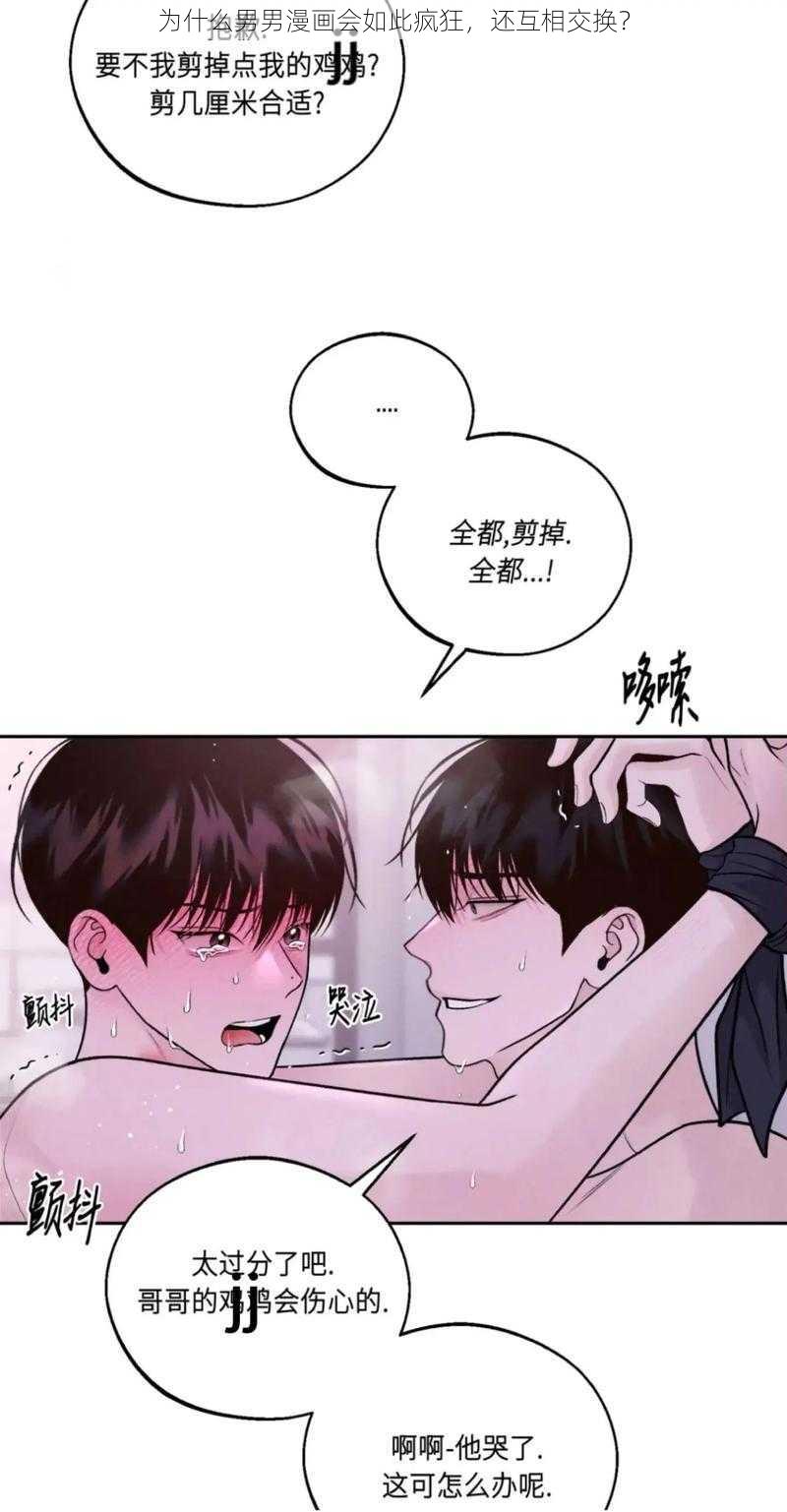 为什么男男漫画会如此疯狂，还互相交换？