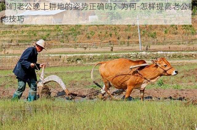 你们老公晚上耕地的姿势正确吗？为何-怎样提高老公耕地技巧