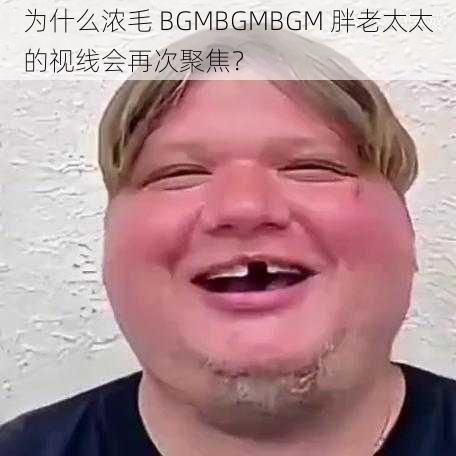 为什么浓毛 BGMBGMBGM 胖老太太的视线会再次聚焦？