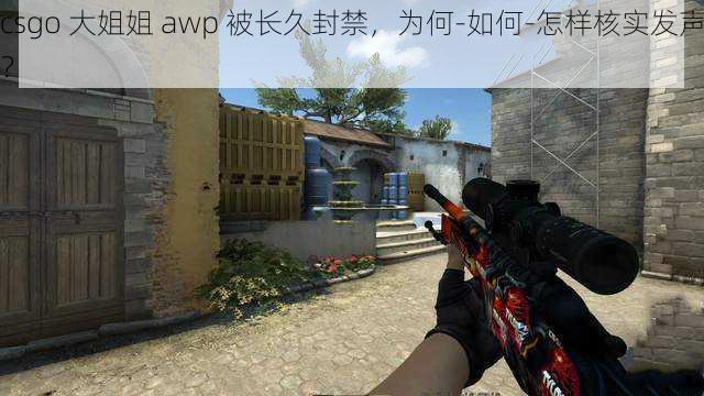 csgo 大姐姐 awp 被长久封禁，为何-如何-怎样核实发声？