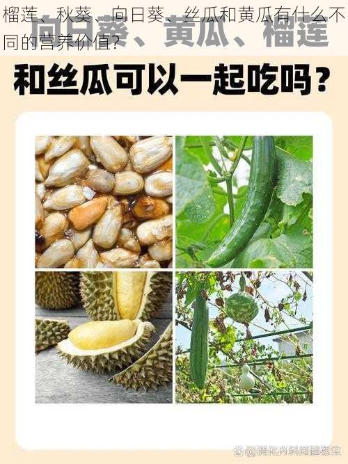 榴莲、秋葵、向日葵、丝瓜和黄瓜有什么不同的营养价值？