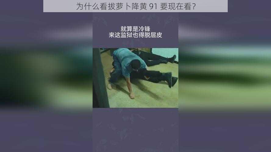 为什么看拔萝卜降黄 91 要现在看？