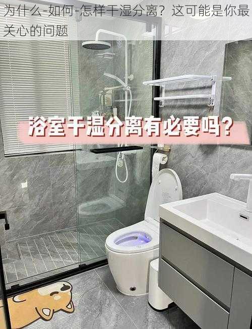 为什么-如何-怎样干湿分离？这可能是你最关心的问题