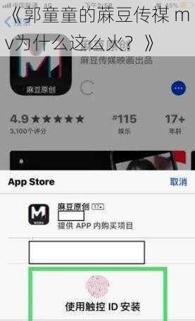 《郭童童的蔴豆传禖 mv为什么这么火？》