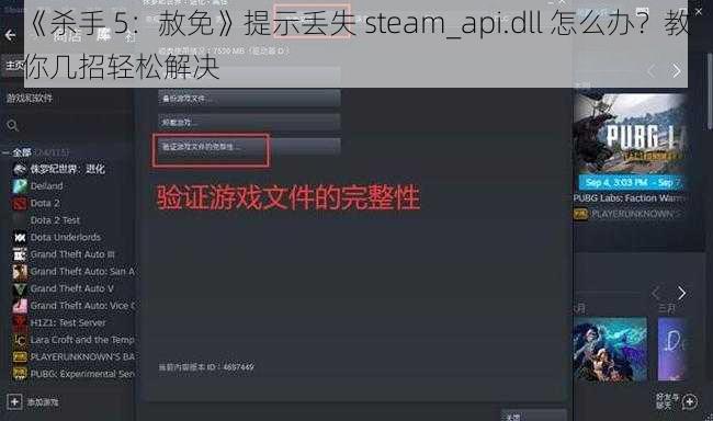 《杀手 5：赦免》提示丢失 steam_api.dll 怎么办？教你几招轻松解决