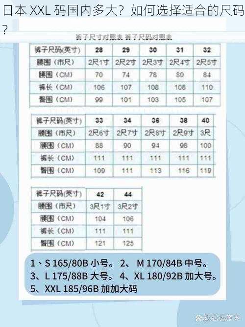 日本 XXL 码国内多大？如何选择适合的尺码？