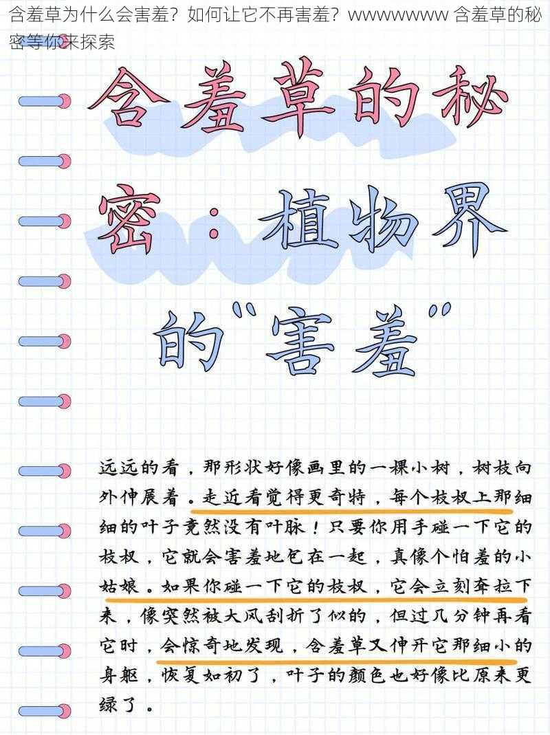 含羞草为什么会害羞？如何让它不再害羞？wwwwwww 含羞草的秘密等你来探索