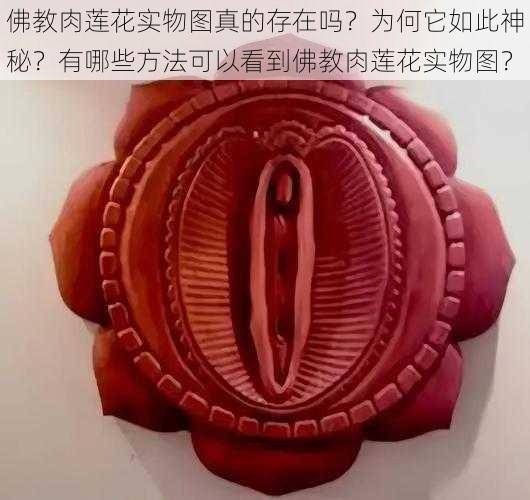 佛教肉莲花实物图真的存在吗？为何它如此神秘？有哪些方法可以看到佛教肉莲花实物图？