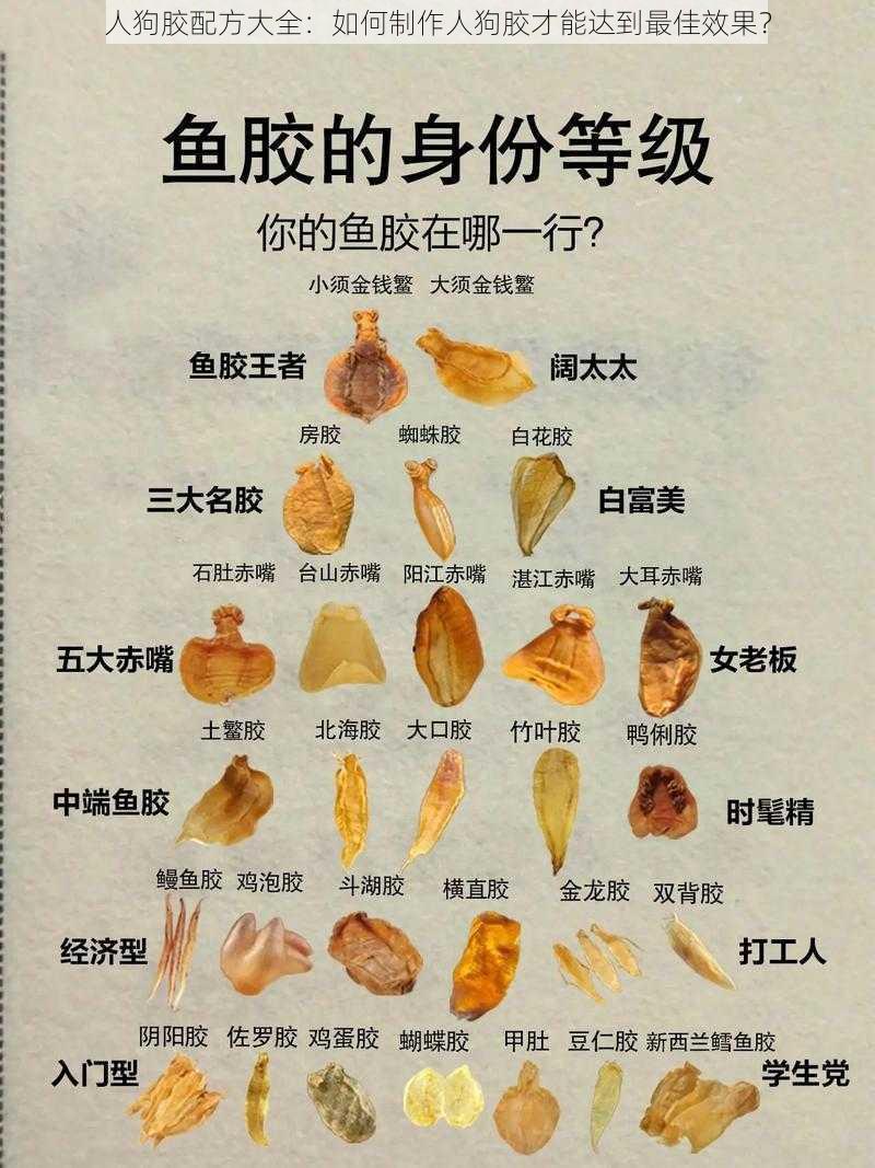 人狗胶配方大全：如何制作人狗胶才能达到最佳效果？