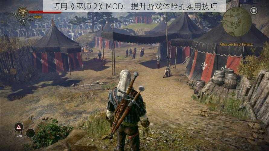 巧用《巫师 2》MOD：提升游戏体验的实用技巧