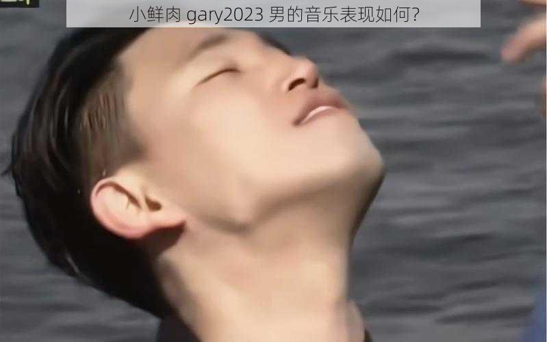 小鲜肉 gary2023 男的音乐表现如何？