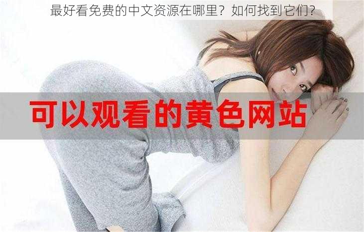 最好看免费的中文资源在哪里？如何找到它们？