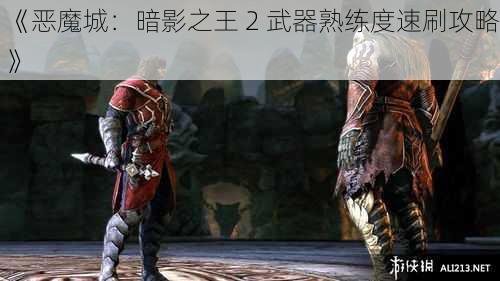 《恶魔城：暗影之王 2 武器熟练度速刷攻略》