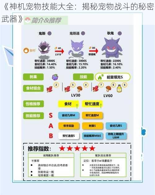 《神机宠物技能大全：揭秘宠物战斗的秘密武器》