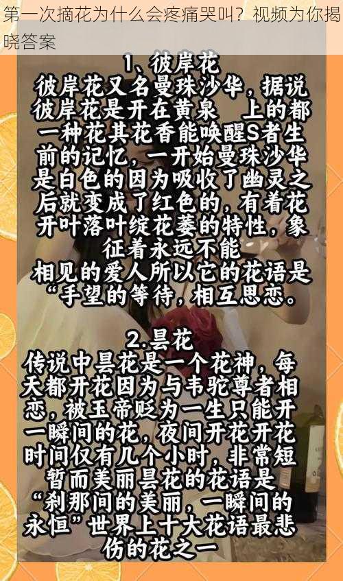 第一次摘花为什么会疼痛哭叫？视频为你揭晓答案