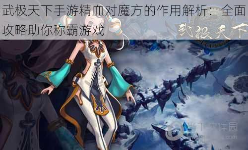 武极天下手游精血对魔方的作用解析：全面攻略助你称霸游戏